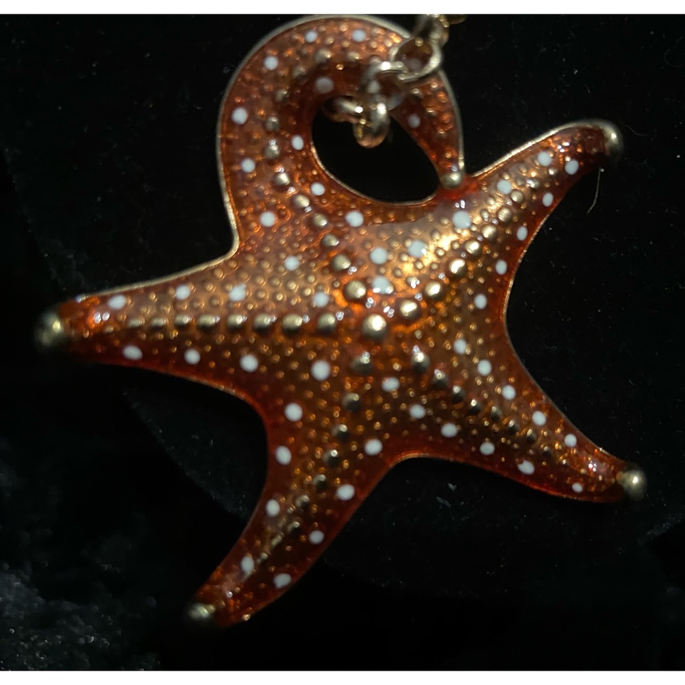 IPPO Starfish Necklace and earring set